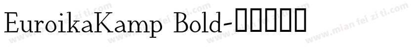 EuroikaKamp Bold字体转换